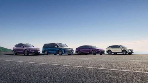 嵐圖汽車謀變 產品與技術雙輪驅動，沖刺港股奔赴新戰場